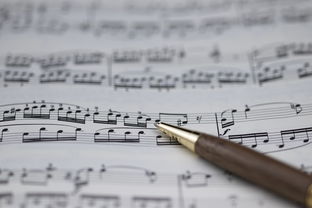 九游电竞官网-NBA球员职业规划建议与实施,nba球员怎么规划锻炼和训练