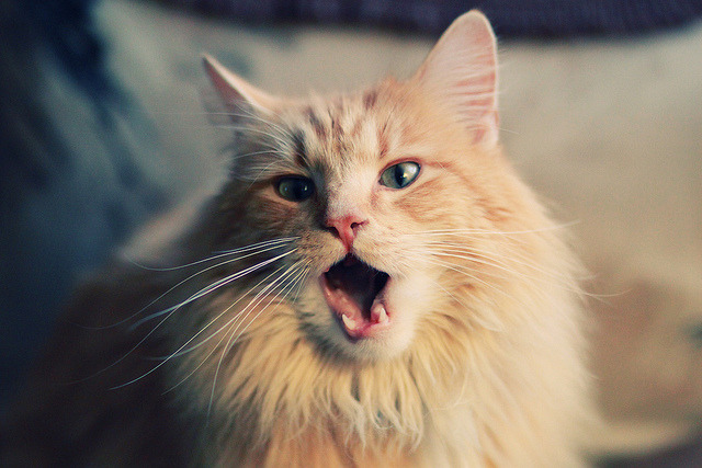 NBA赛季抢断效率提升,2021赛季nba抢断王