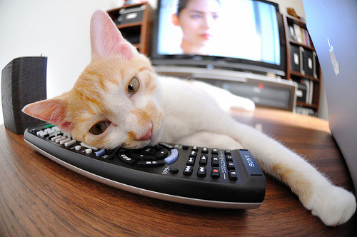 九游游戏中心下载-万米长跑决赛,莫桑比克选手突围夺金