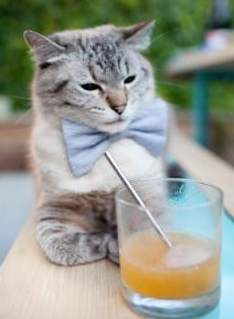 世俱杯半决赛:利物浦与AC米兰激烈争夺晋级名额,世俱杯 利物浦