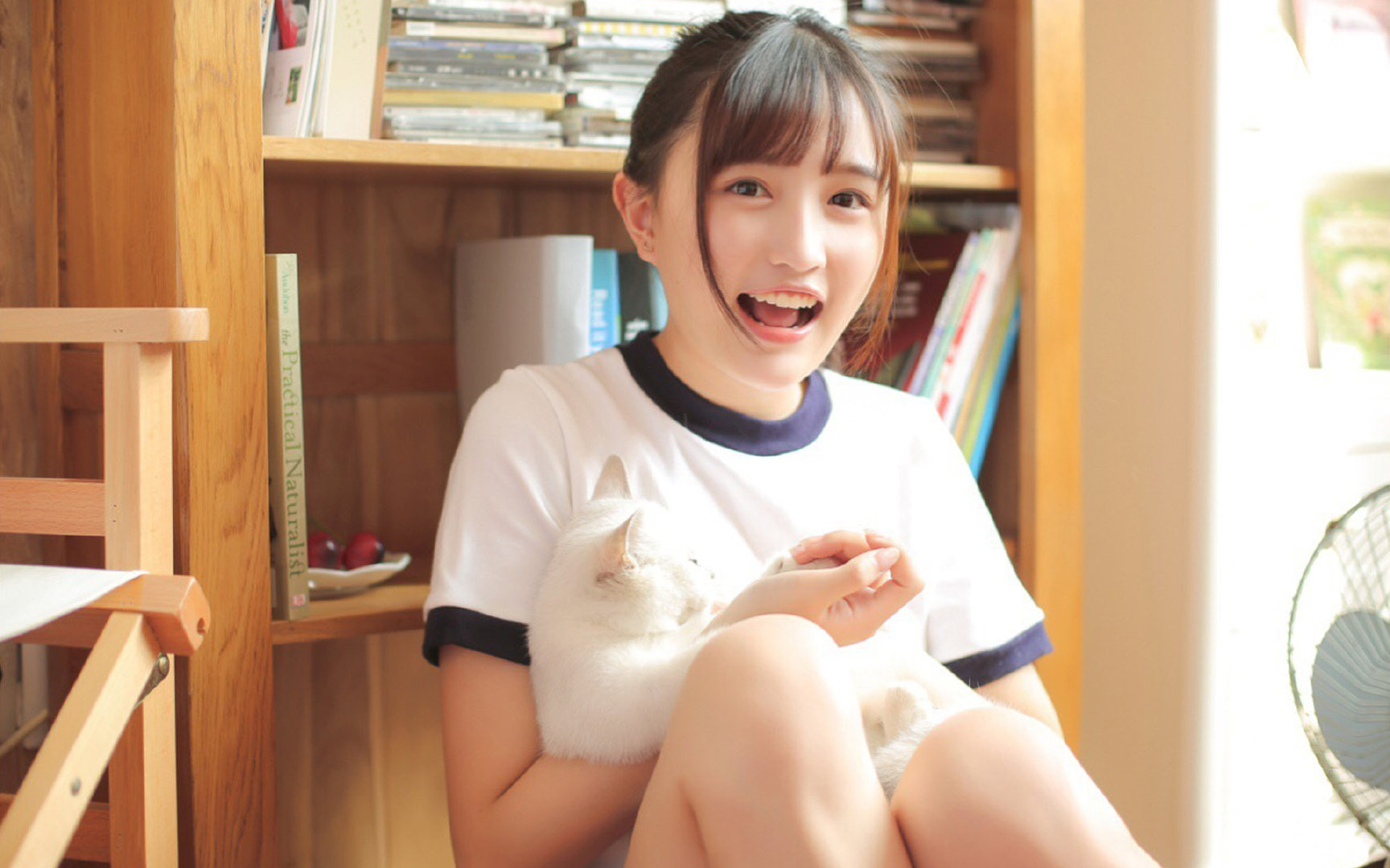 中国篮球教练员战术执行力的量化评估方法，篮球教练技能展示