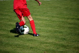 九游博彩-中国青少年篮球运动员伤病防控体系建设，青少年篮球训练现状分析