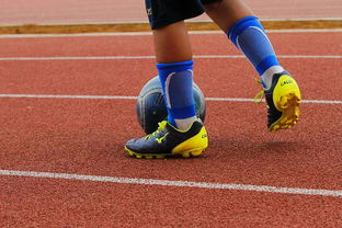 九游官网pc-中国青少年篮球运动员体能素质发展规律，我国篮球青少年运动发展现状