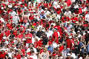 九游-体育赛事观众满意度影响因素研究，体育赛事关注度