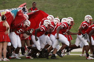 九游娱乐网页版-全国城际定向越野赛青少年组吸引众多参赛者，全国定向越野锦标赛