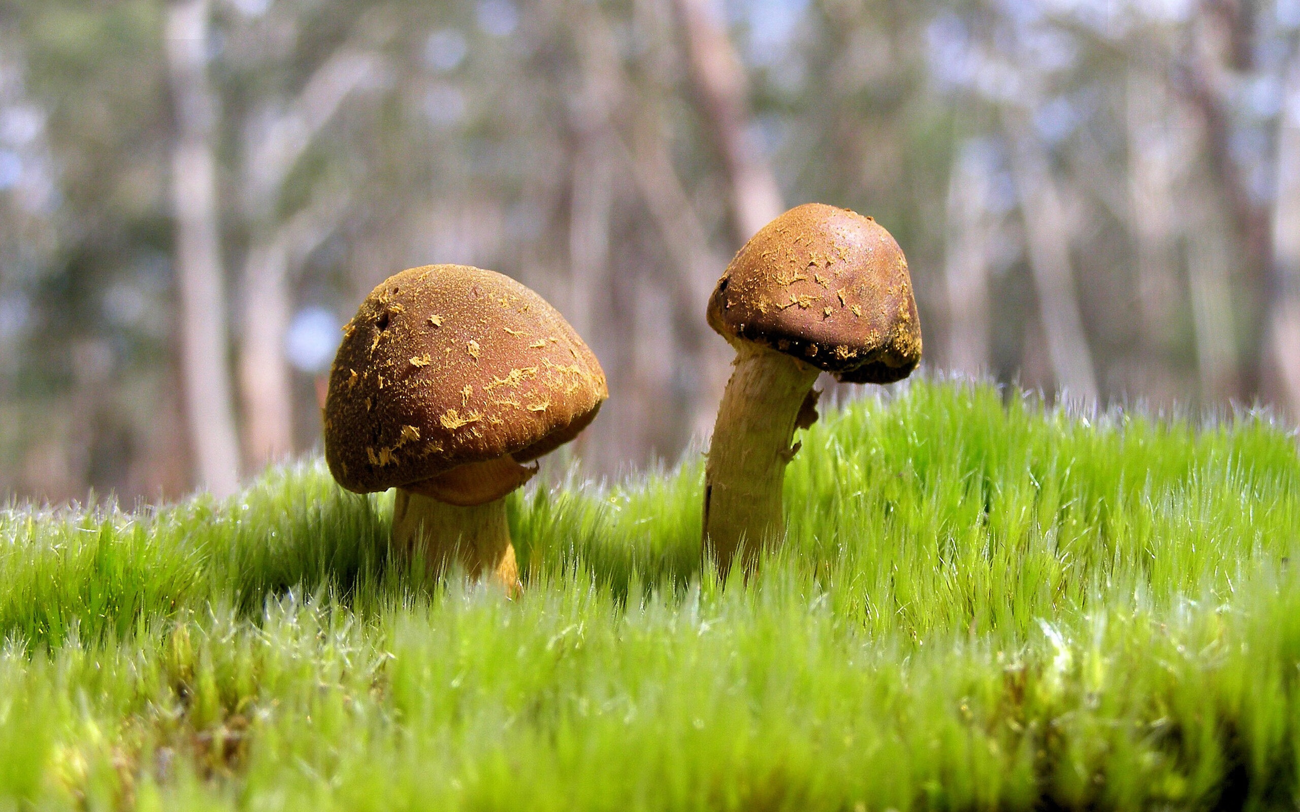 九游官网下载电脑版-德甲防守协作效率与抢断次数的定量关系研究，防守能力和抢断